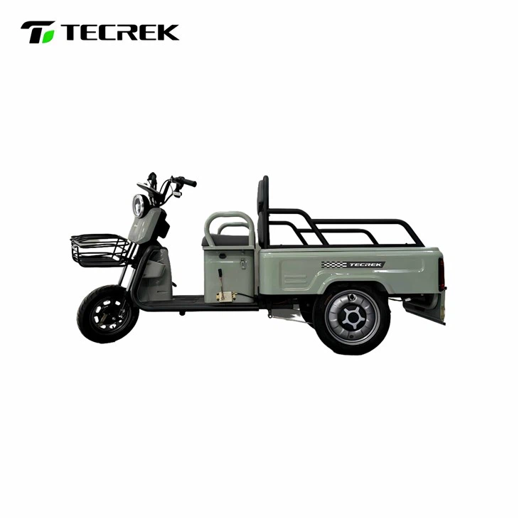 1.1m Elderly Commuting Tricycle